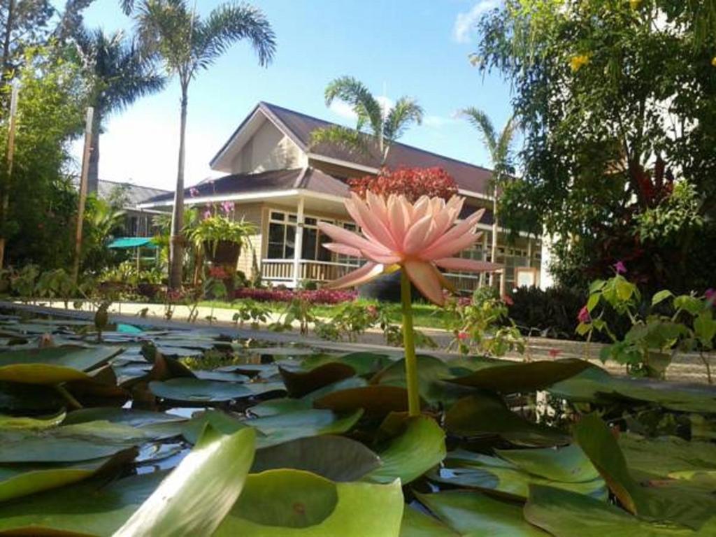 Paradise Hotel Nyaung Shwe Inle Lake Zewnętrze zdjęcie