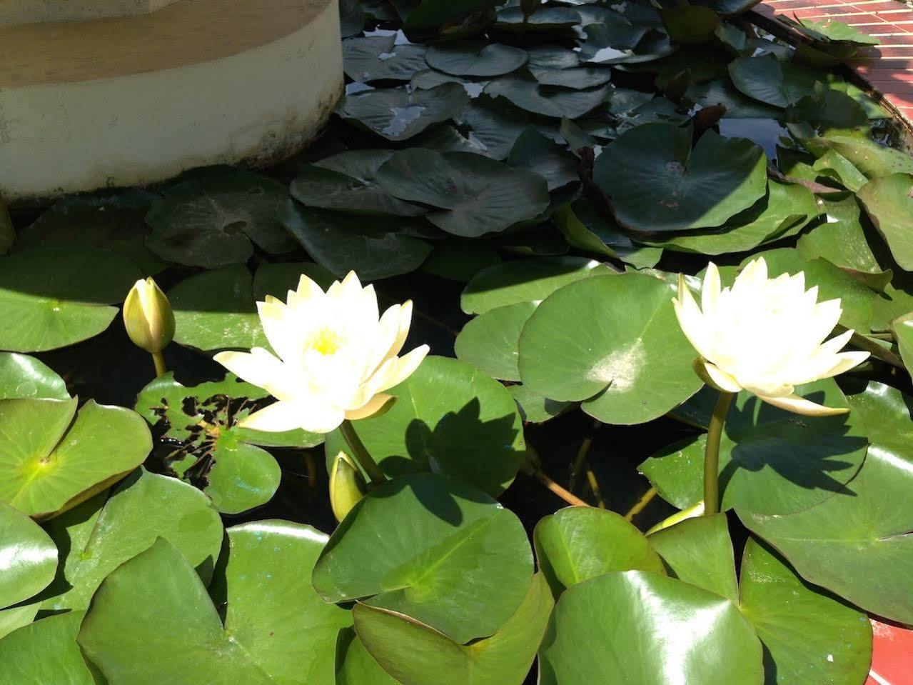 Paradise Hotel Nyaung Shwe Inle Lake Zewnętrze zdjęcie